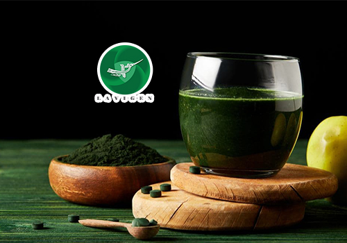 Dùng Tảo Xoắn Spirulina - Cách Chống Covid-19 Vô Cùng Hiệu Quả