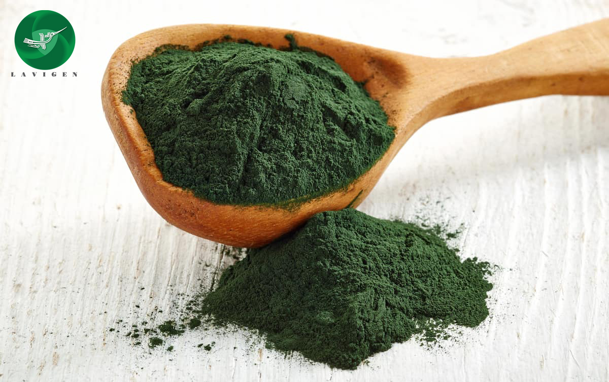 Bột tảo xoắn Spirulina Lavigen nguyên chất