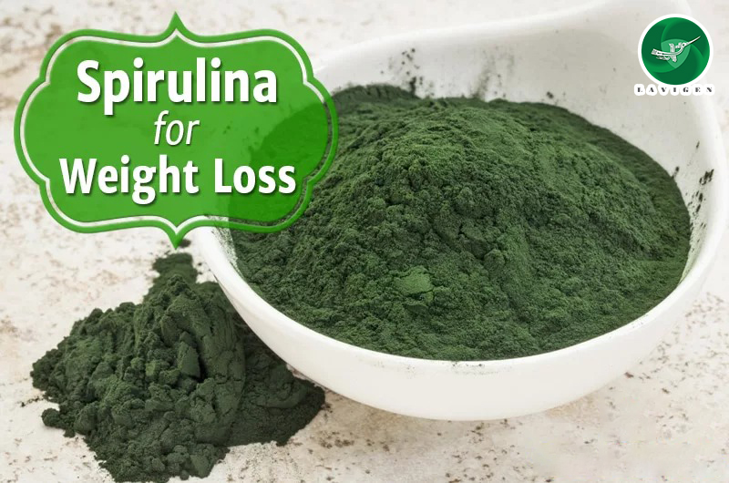 Spirulina đã được chứng thực rằng rất hiệu quả trong việc giảm cân