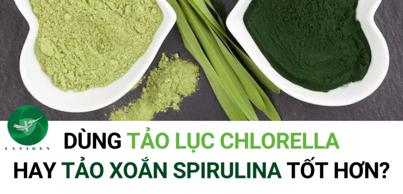 Dùng tảo lục hay tảo xoắn tốt hơn?