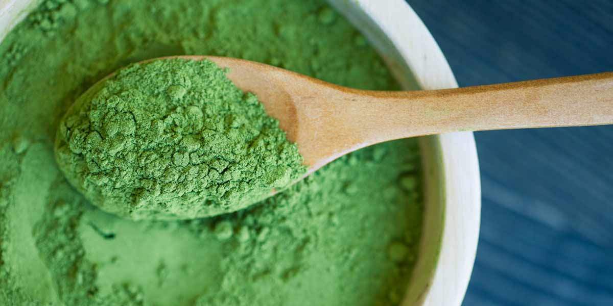 Bột tảo lục Chlorella