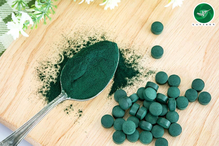 Những điều cần lưu ý trước khi mua tảo xoắn Spirulina