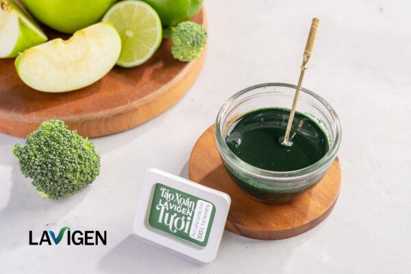 Tảo xoắn tươi spirulina Lavigen rất “khó tính” nên cần bảo quản liên tục trong môi người đông lạnh