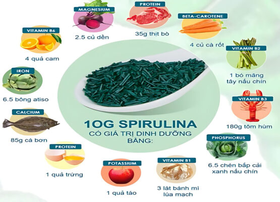 Cách dùng tảo Spirulina cho trẻ em hiệu quả nhất là hiểu các dưỡng chất trong tảo