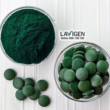 D:\Running\Lavigen\Tảo xoắn spirulina và lợi ích cho da và tóc\tao-xoan-spirulina-duong-da-va-toc-8.jpg