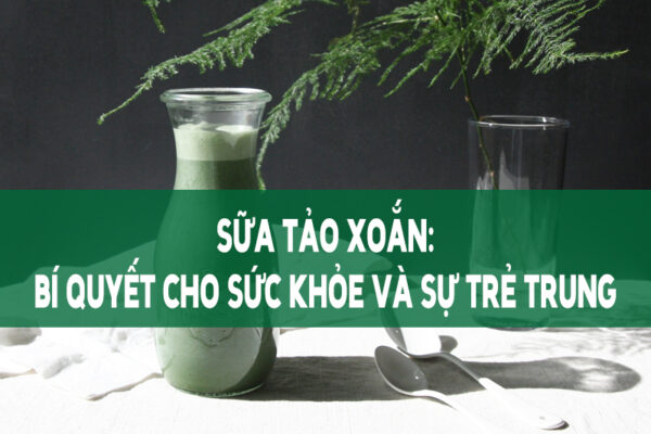 Sữa tảo xoắn: Bí quyết cho sức khỏe và sự trẻ trung