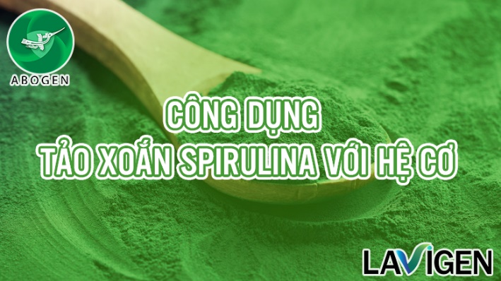 tảo xoắn spirulina