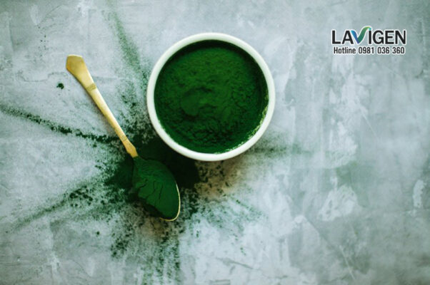 Spirulina ngày càng được nhiều người biết tới và ưa chuộng nhờ những công dụng tuyệt vời