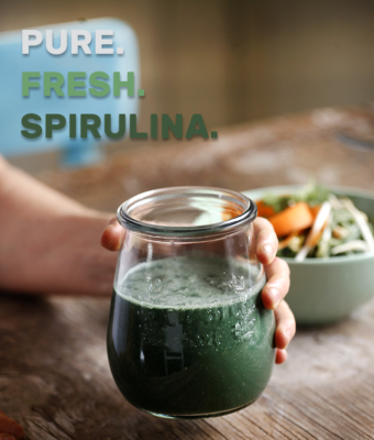 Tảo xoắn Spirulina cung cấp đa chất giúp chống oxy hóa hiệu quả