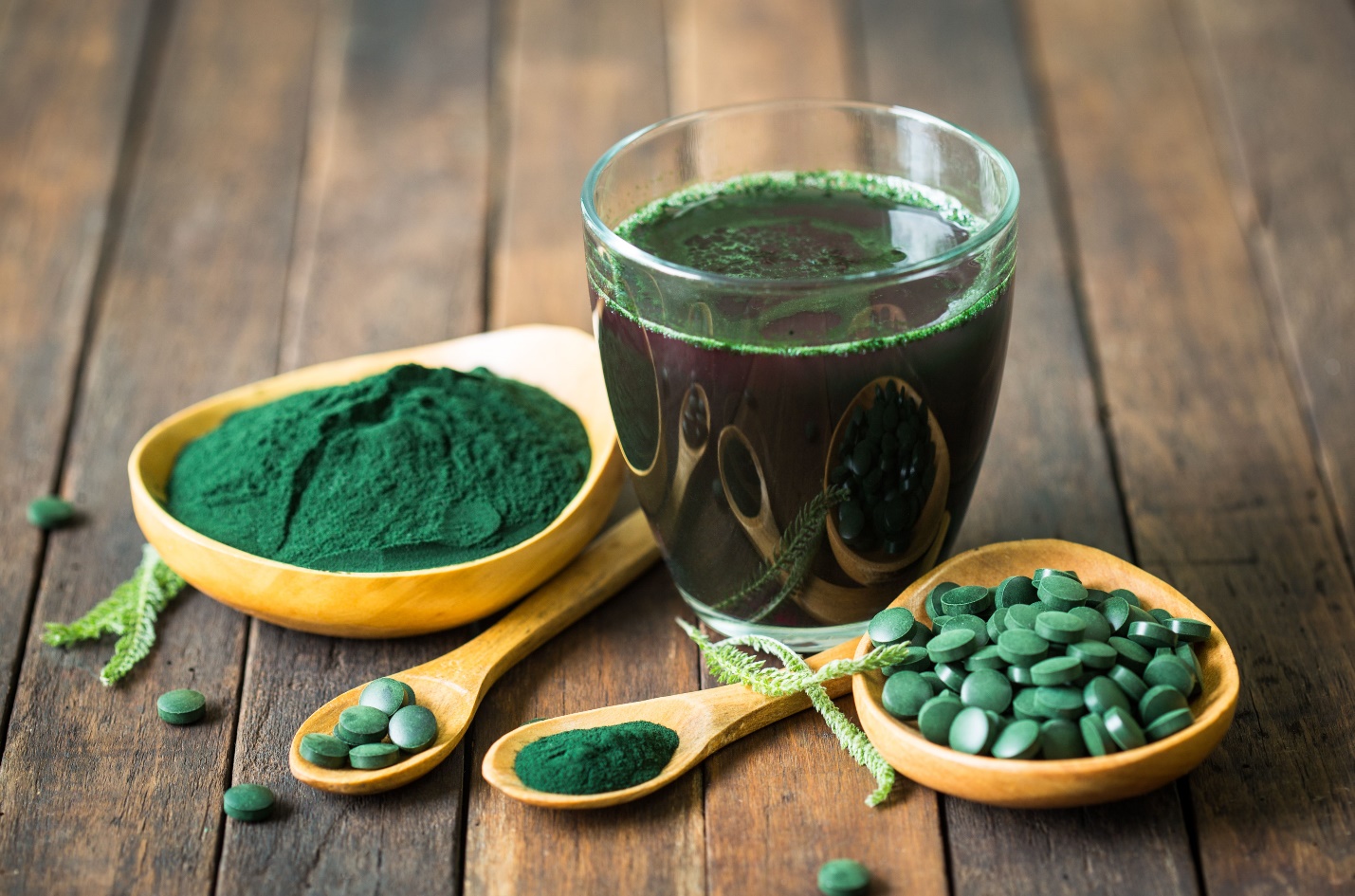 Tảo xoắn Spirulina chứa nhiều chất chống oxy hóa và chống viêm hiệu quả