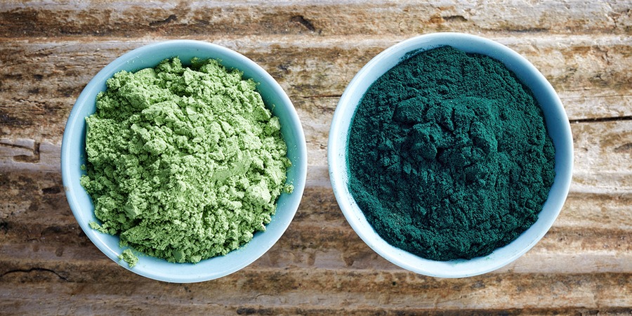 Bạn có thể dễ dàng nhận biết tảo Chlorella với Spirulina